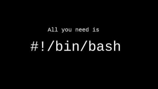 bash.png